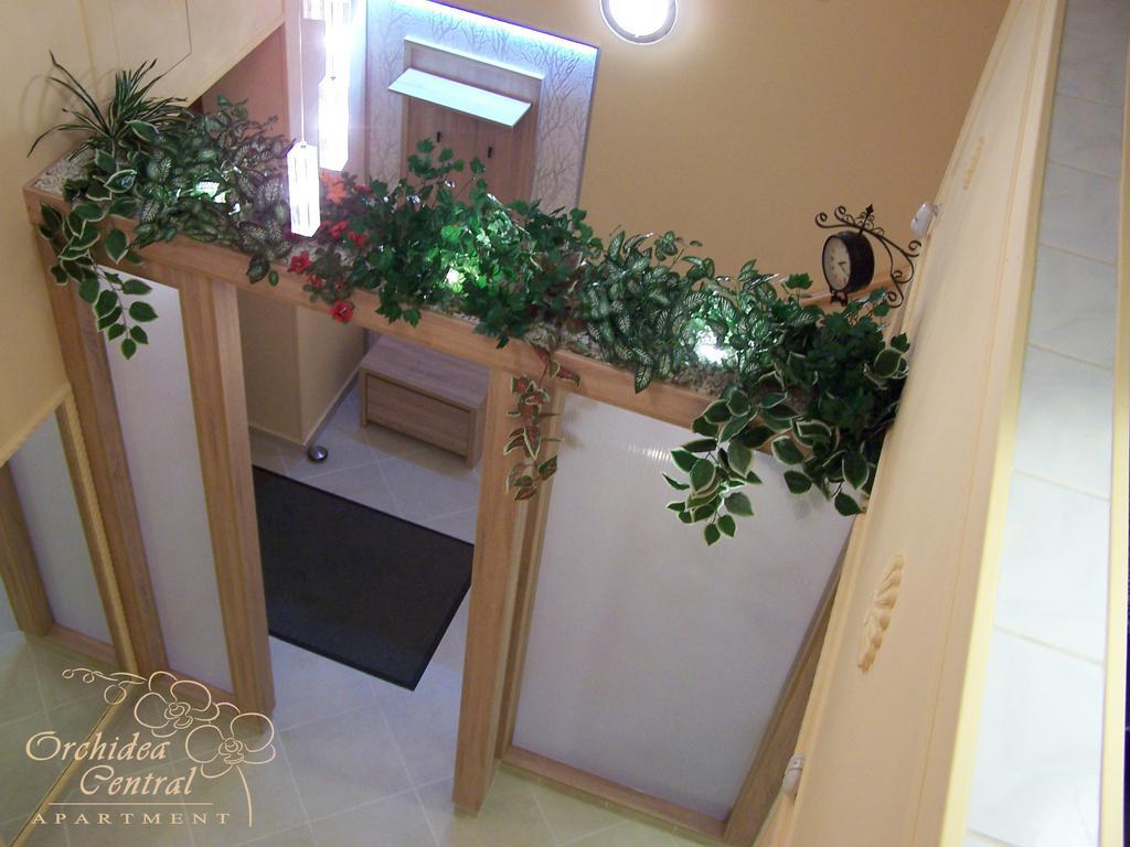 Orchidea Central Apartment บูดาเปสต์ ภายนอก รูปภาพ